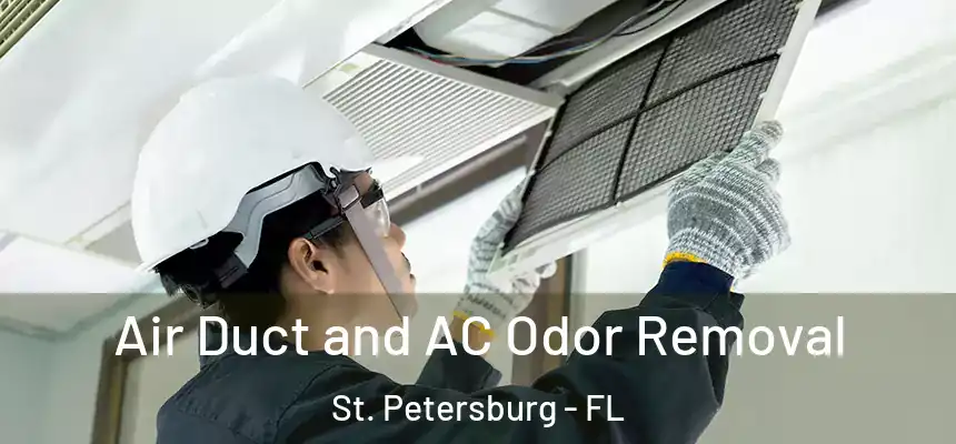  Air Duct and AC Odor Removal St. Petersburg - FL