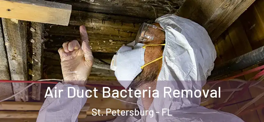  Air Duct Bacteria Removal St. Petersburg - FL