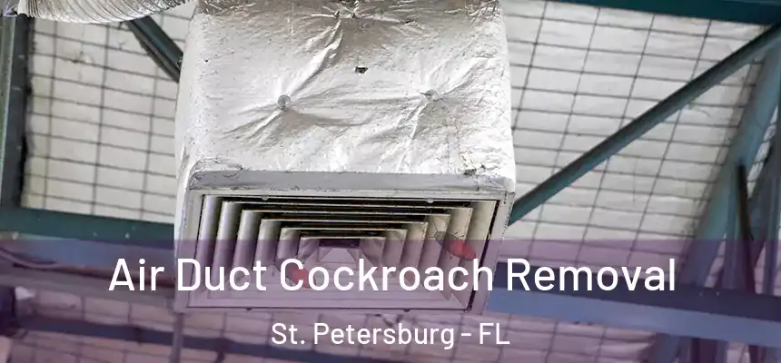  Air Duct Cockroach Removal St. Petersburg - FL