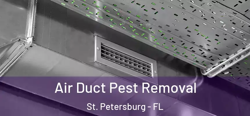  Air Duct Pest Removal St. Petersburg - FL