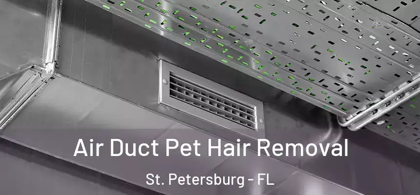 Air Duct Pet Hair Removal St. Petersburg - FL