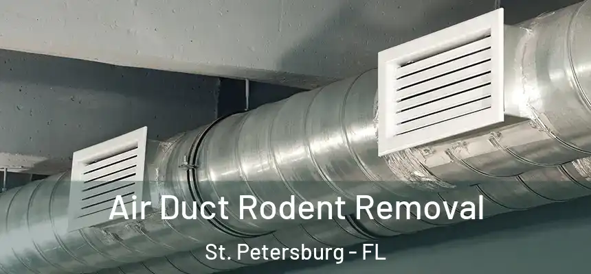  Air Duct Rodent Removal St. Petersburg - FL