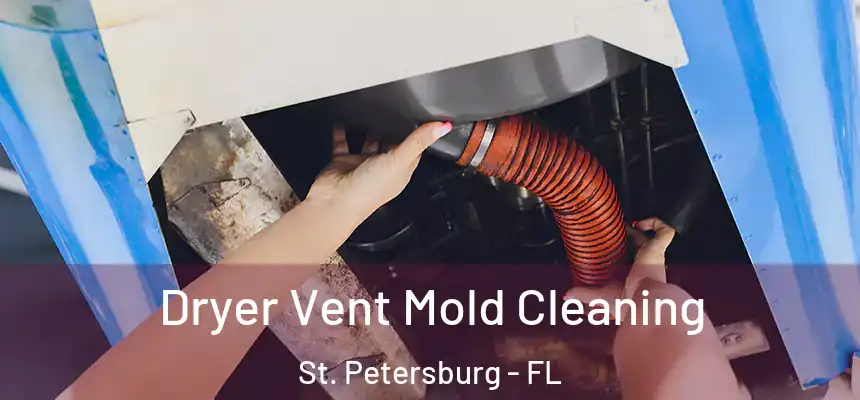  Dryer Vent Mold Cleaning St. Petersburg - FL