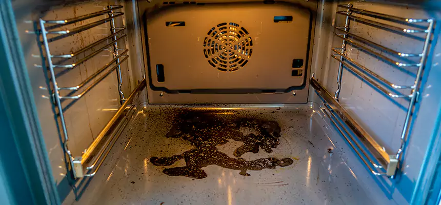 Our Dryer Vent Mold Cleaning Services in St. Petersburg, FL