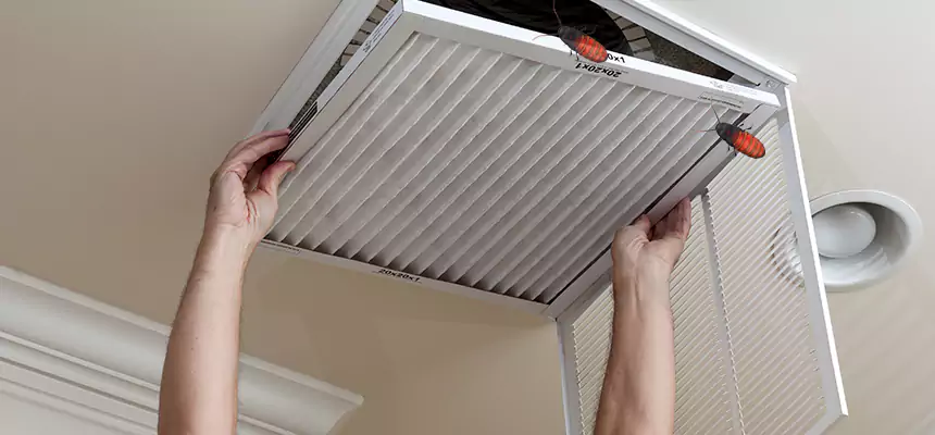 Our Insect Removal from Air Ducts Services in St. Petersburg, FL