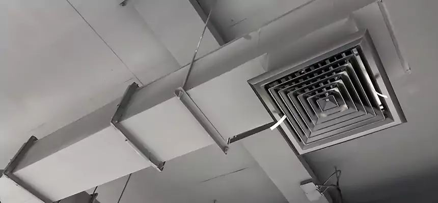 Our Rodent Droppings In Vents Services in St. Petersburg, FL