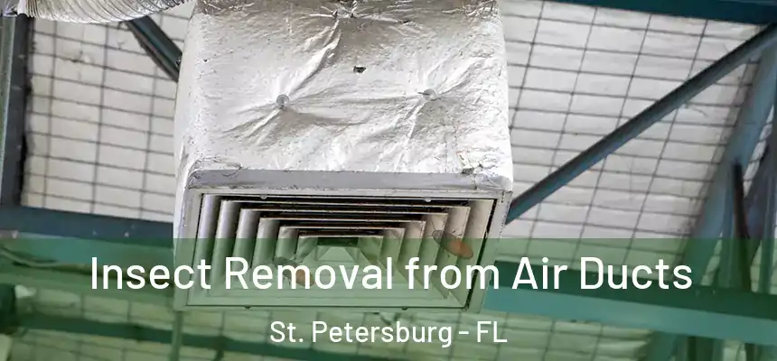  Insect Removal from Air Ducts St. Petersburg - FL