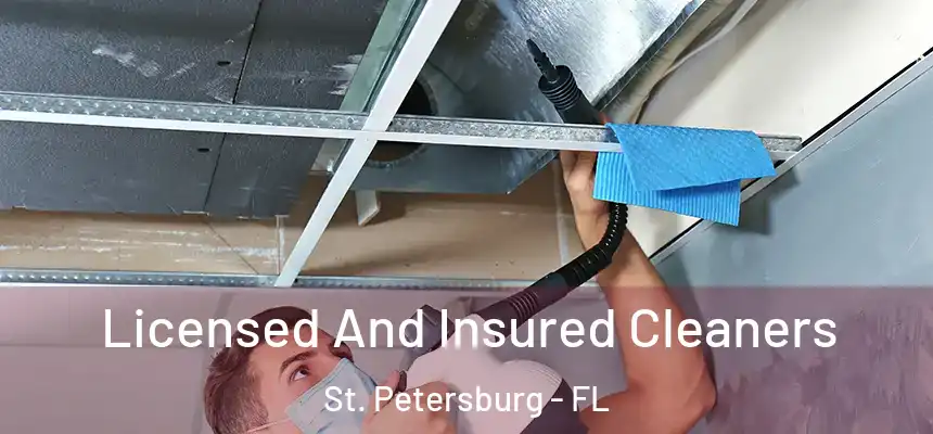 Licensed And Insured Cleaners St. Petersburg - FL