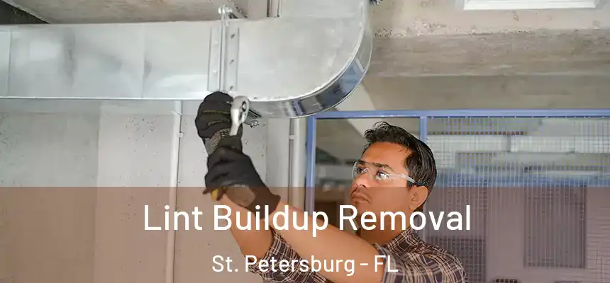  Lint Buildup Removal St. Petersburg - FL