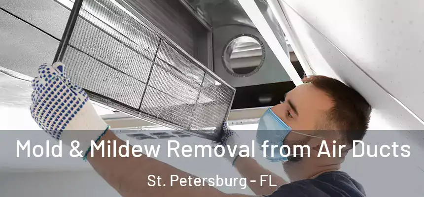 Mold & Mildew Removal from Air Ducts St. Petersburg - FL