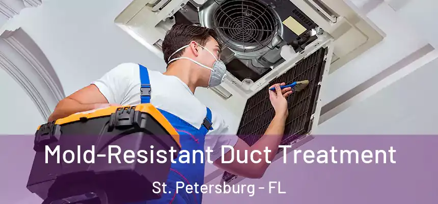  Mold-Resistant Duct Treatment St. Petersburg - FL