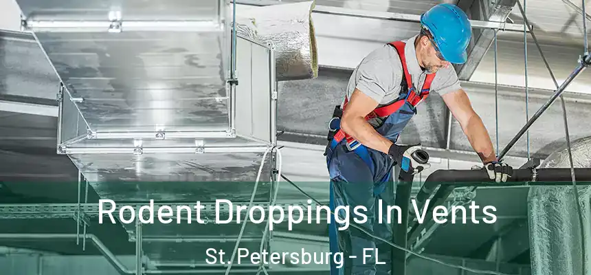  Rodent Droppings In Vents St. Petersburg - FL