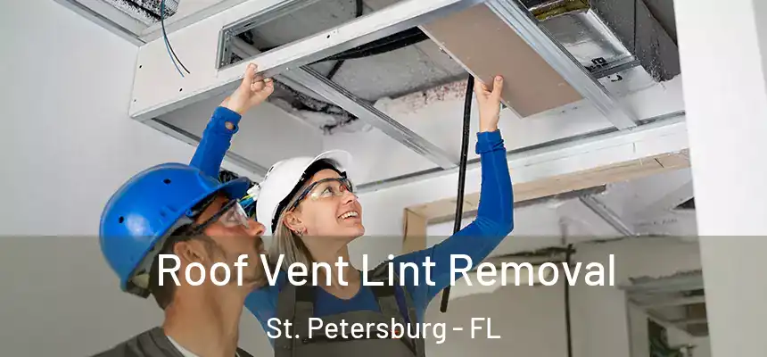 Roof Vent Lint Removal St. Petersburg - FL