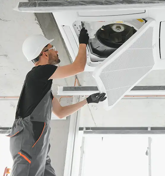 About Air Duct Rodent Removal in St. Petersburg, FL