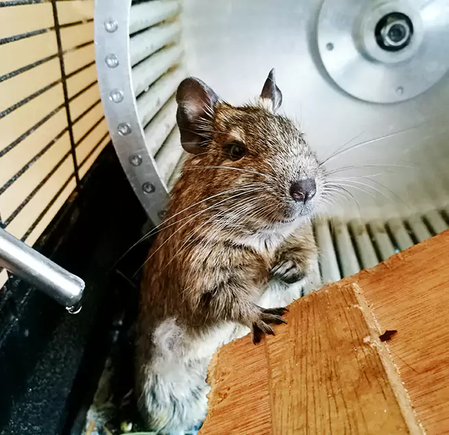 Why Homeowners & Businesses Trust Us St. Petersburg, FL?