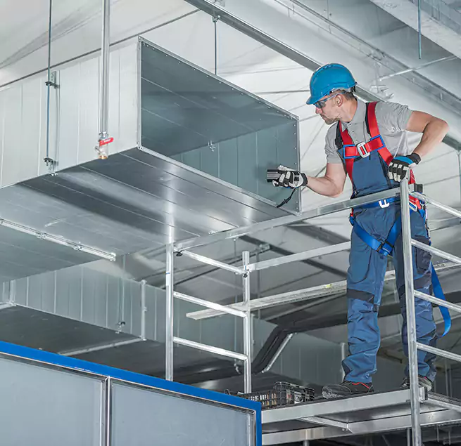 Why Homeowners & Businesses Trust Us in St. Petersburg, FL?