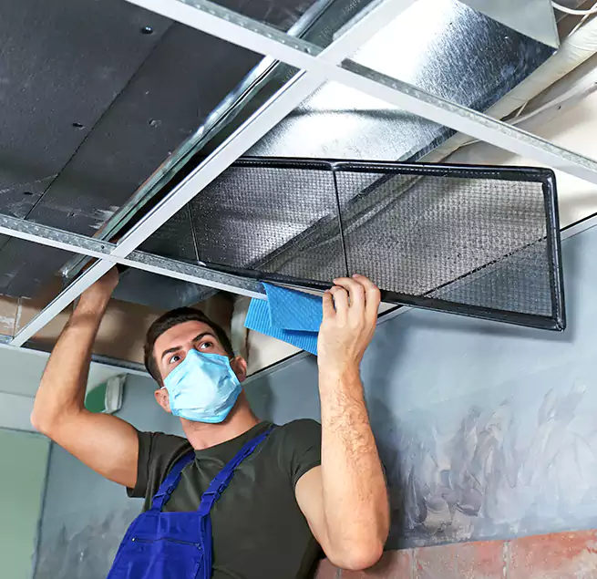 Why Homeowners Businesses Trust Us in St. Petersburg, FL