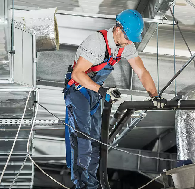 Why Homeowners & Businesses Trust Us in St. Petersburg, FL?