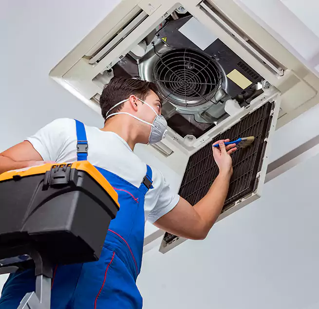 Why Homeowners & Businesses Trust Us in St. Petersburg, FL