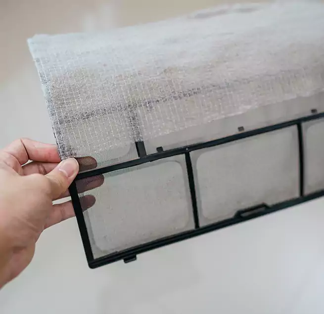 Why Homeowners & Businesses Trust Us in St. Petersburg, FL?