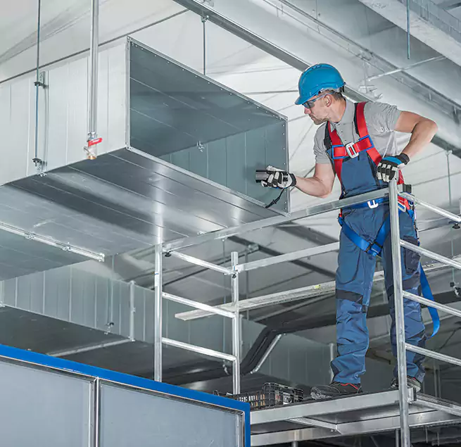 Why Homeowners Businesses Trust Us in St. Petersburg, FL