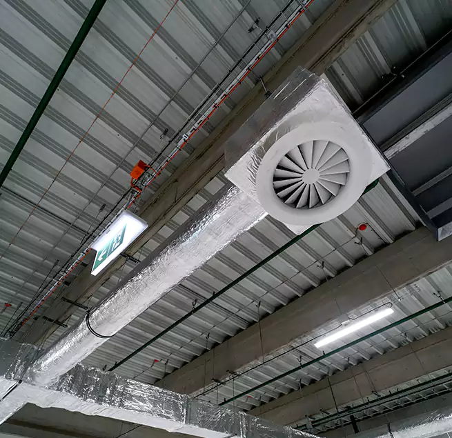 Why Homeowners & Businesses Trust Us in St. Petersburg, FL?