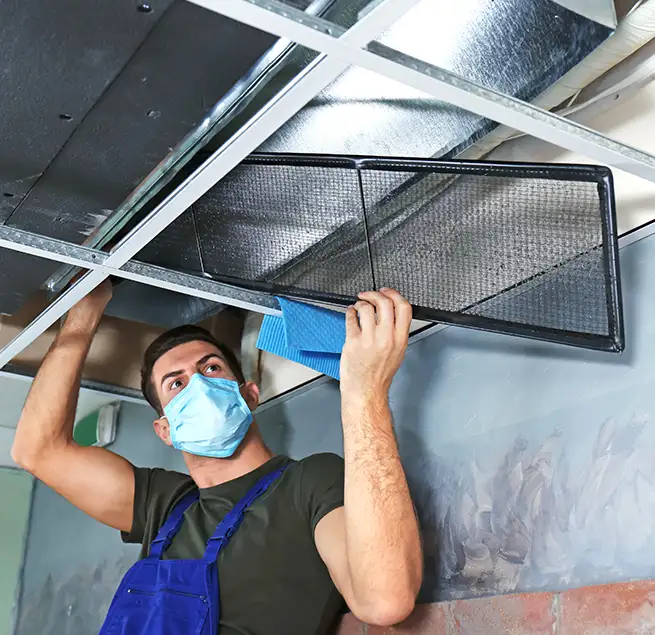 Why Homeowners & Businesses Trust Us in St. Petersburg, FL?